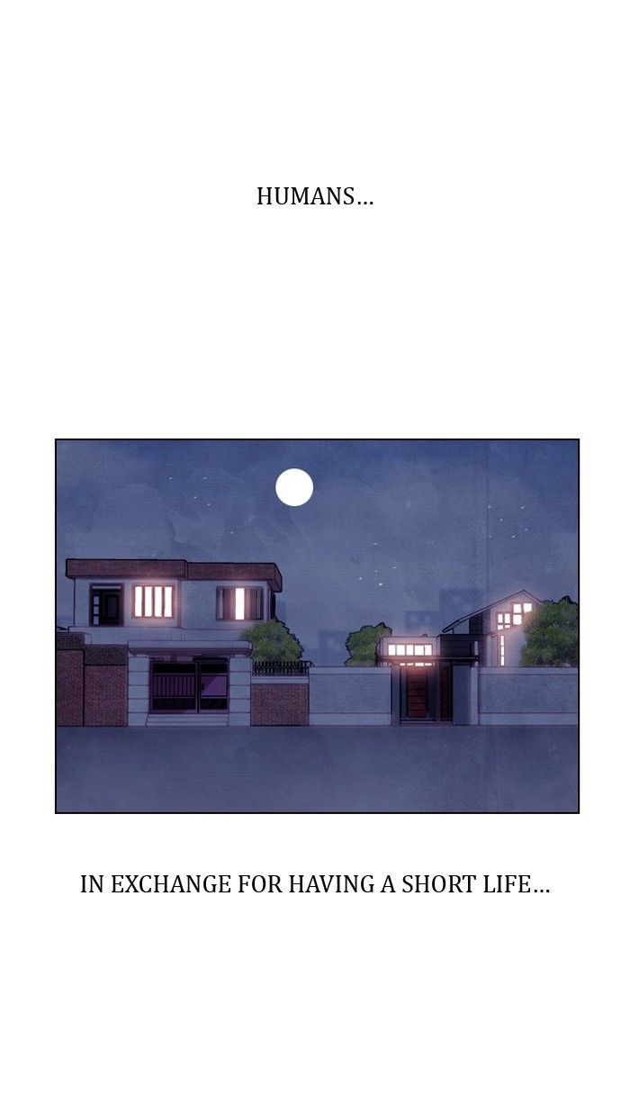 Athena Complex 7 1