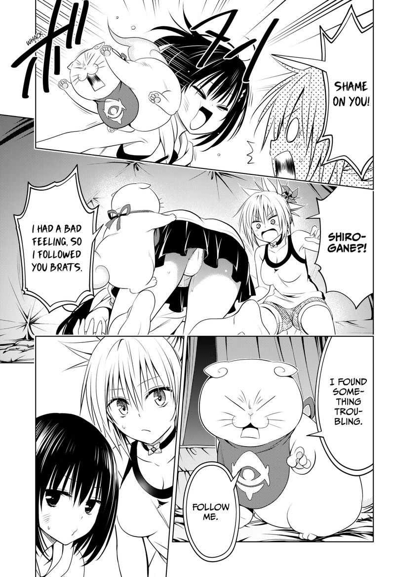 Ayakashi Triangle 97 14