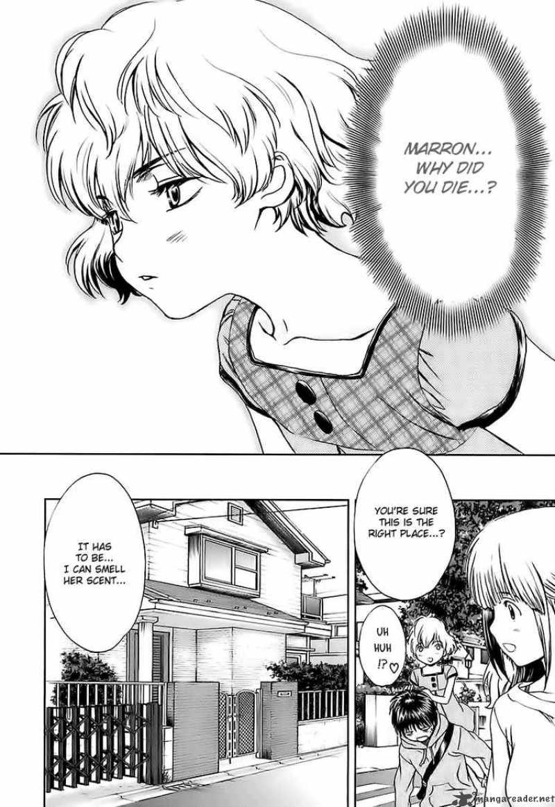 Baka And Boing 7 16