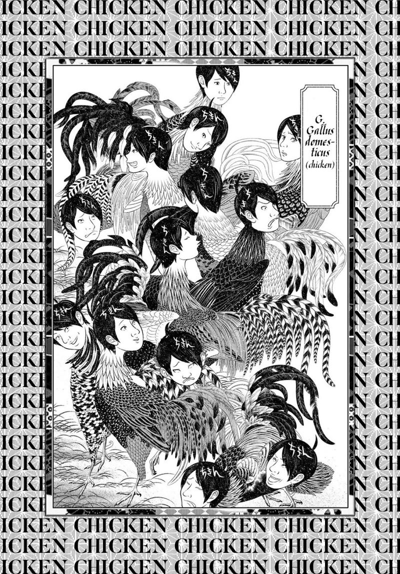 Bakemonogatari 112 12