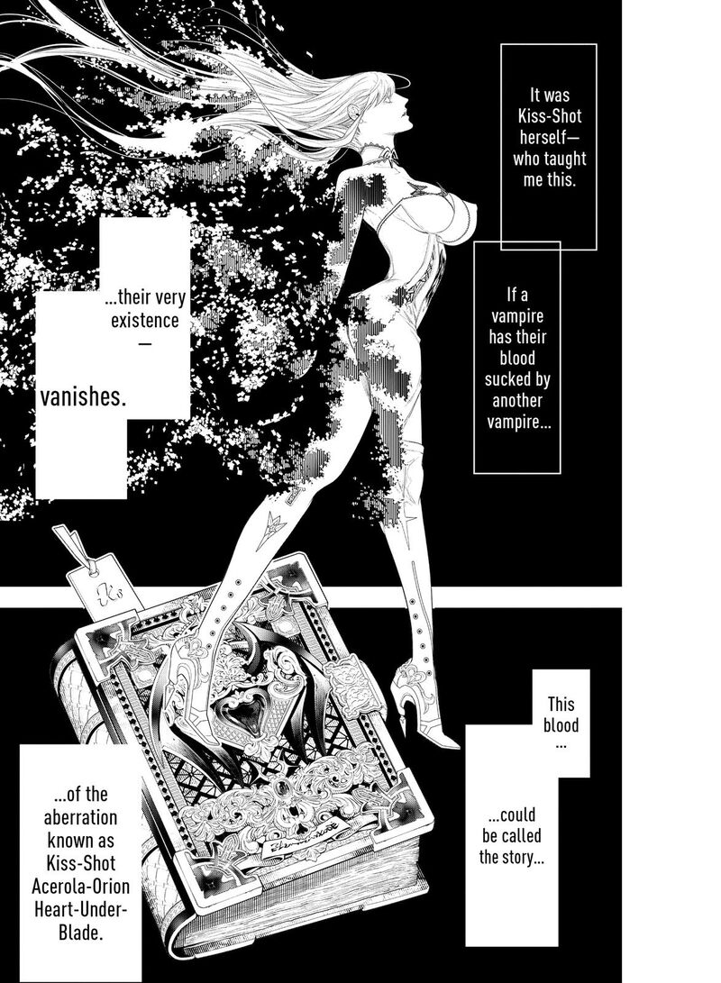 Bakemonogatari 117 6