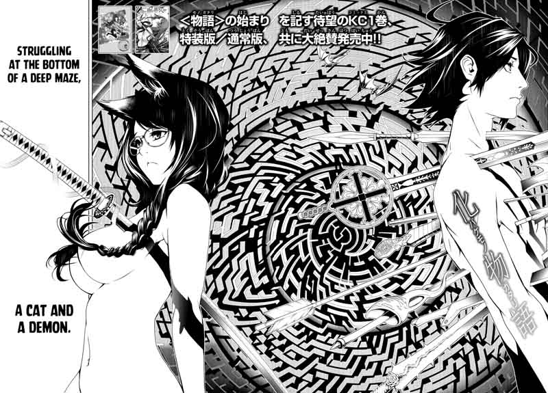 Bakemonogatari 13 2