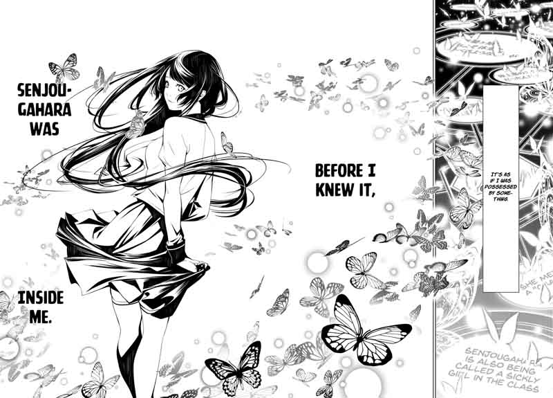Bakemonogatari 14 12