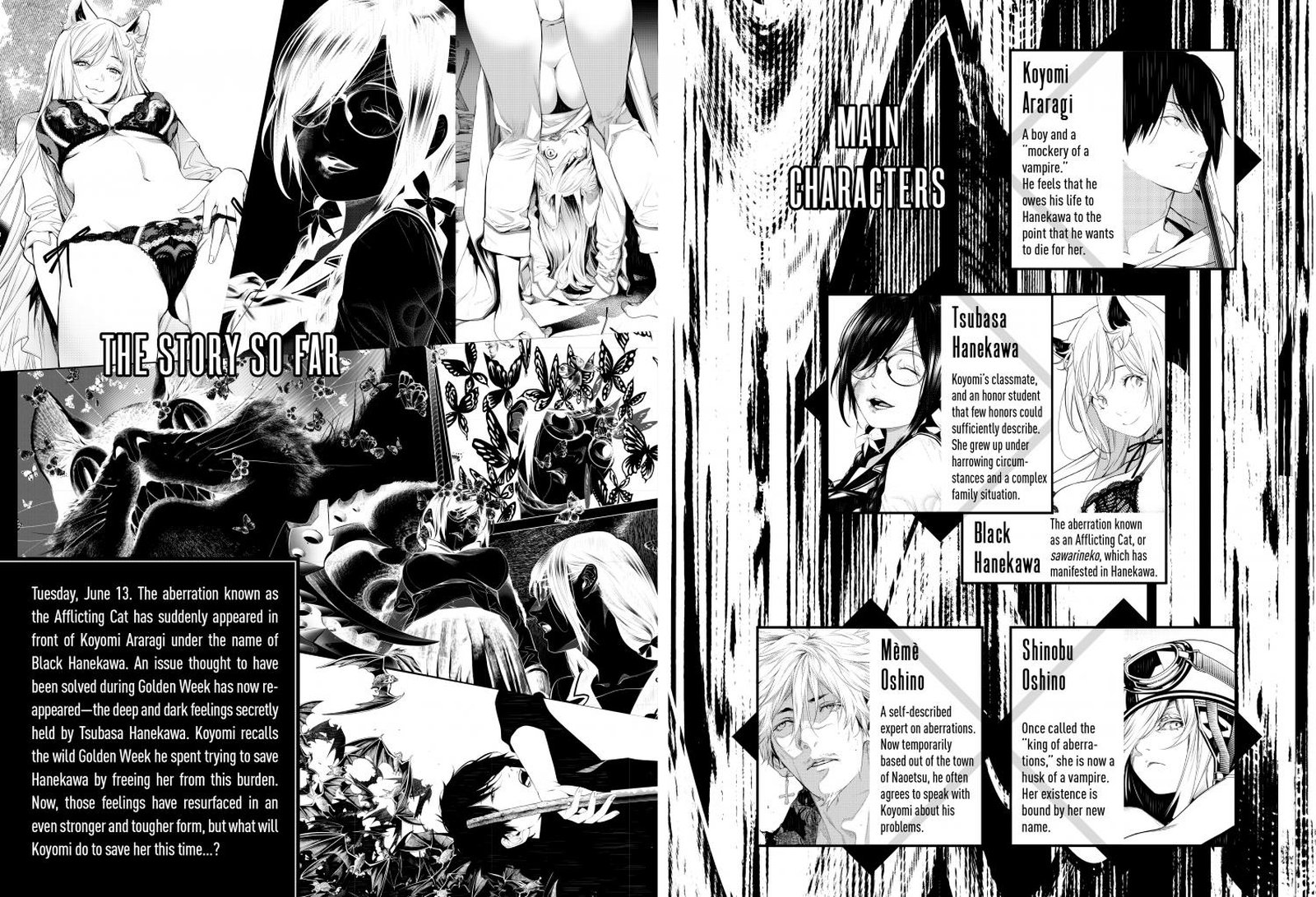 Bakemonogatari 140 5