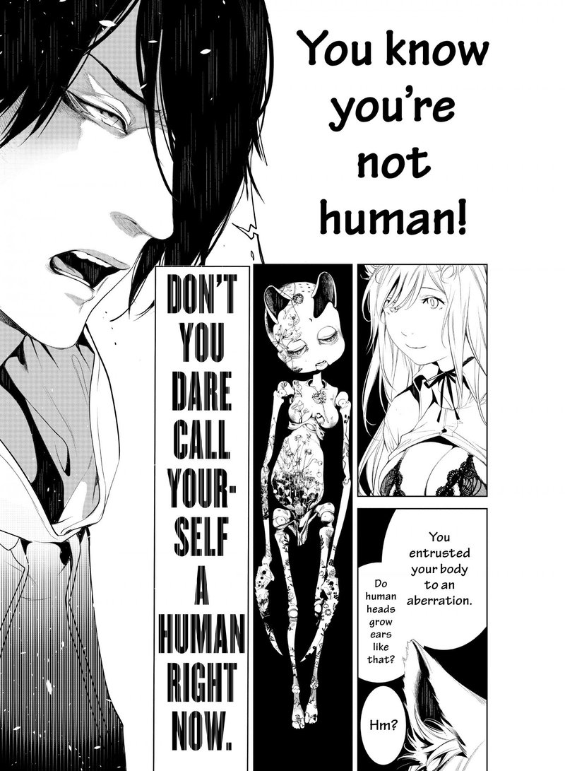 Bakemonogatari 141 4