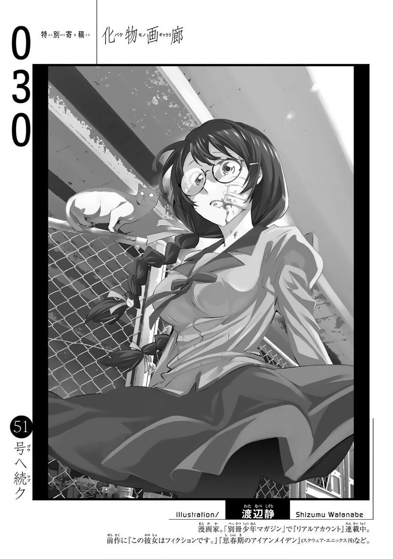 Bakemonogatari 30 19