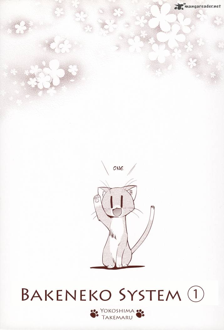 Bakeneko System 1 2