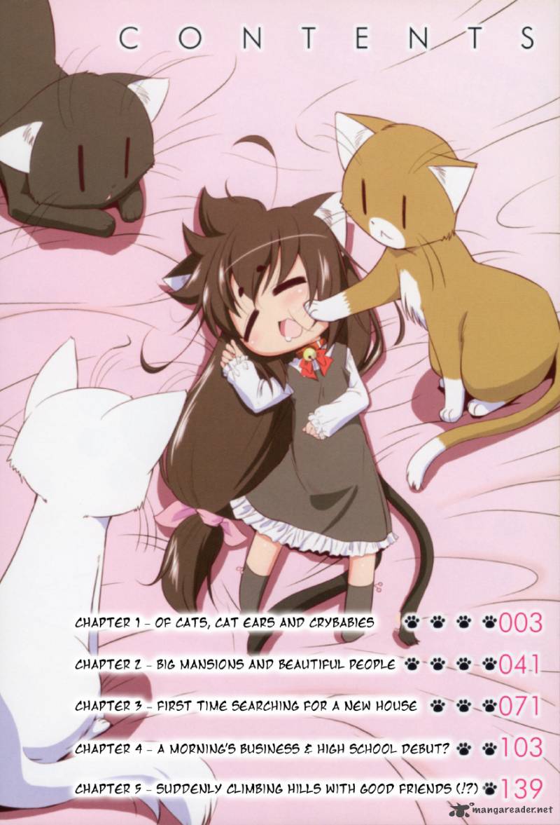 Bakeneko System 1 4