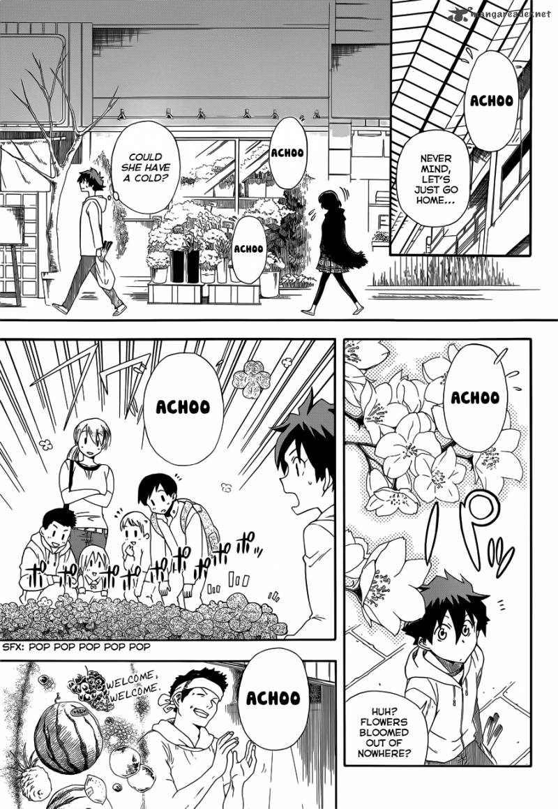 Baketeriya 11 8