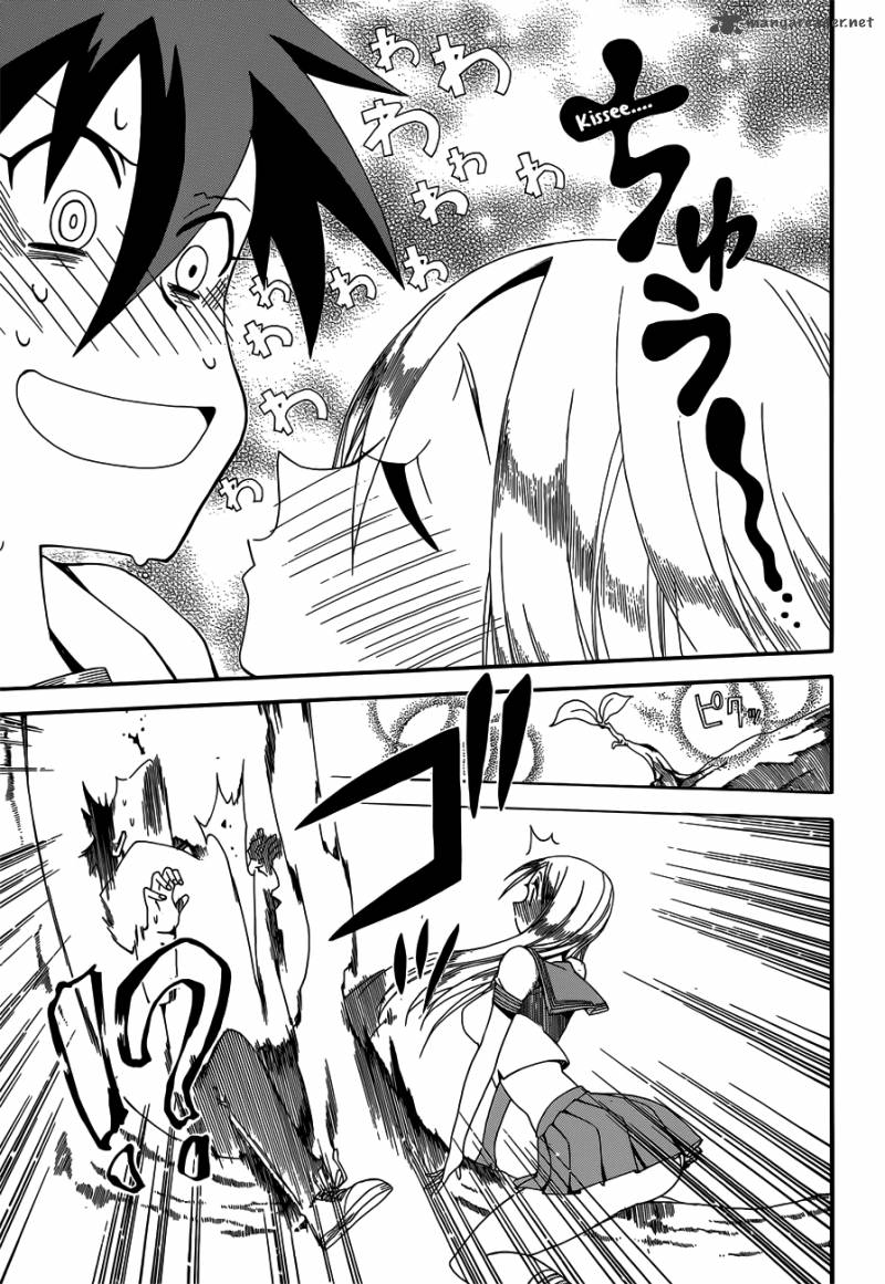 Baketeriya 12 29