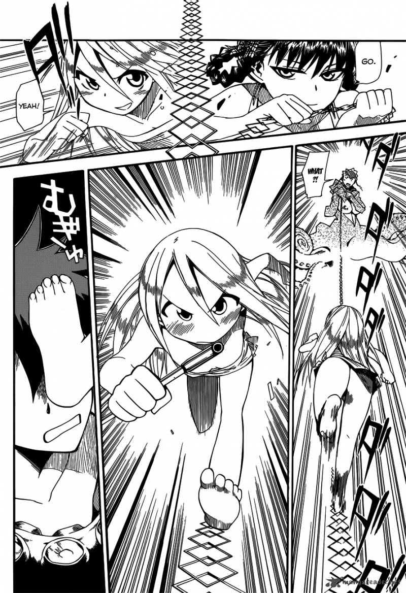 Baketeriya 13 29