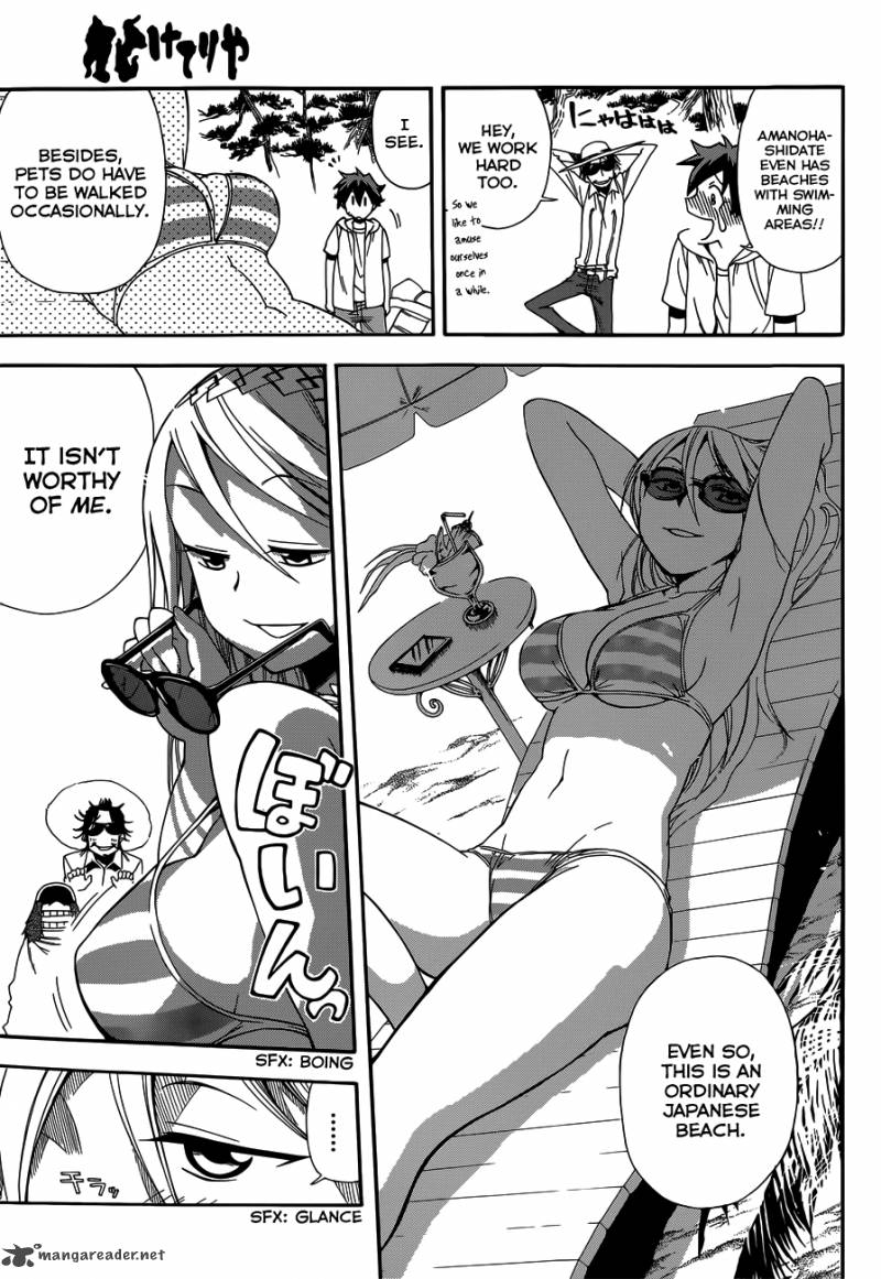 Baketeriya 13 6