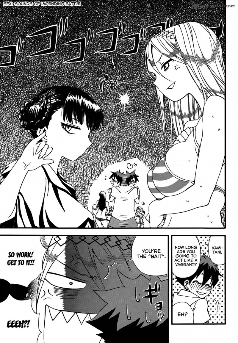 Baketeriya 13 8
