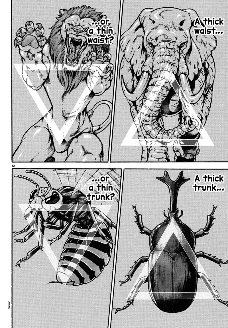 Baki Dou 2018 139 12