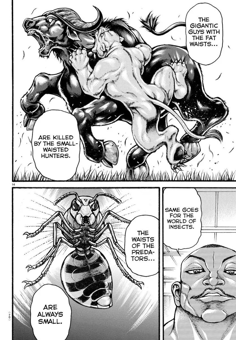Baki Dou 2018 14 15