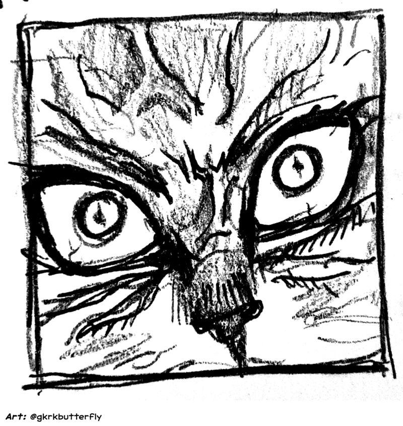 Baki Dou 2018 143 7