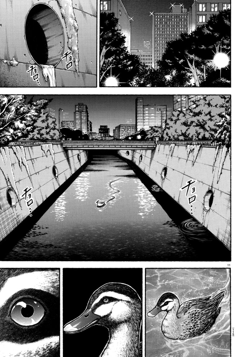 Baki Dou 2018 151 12