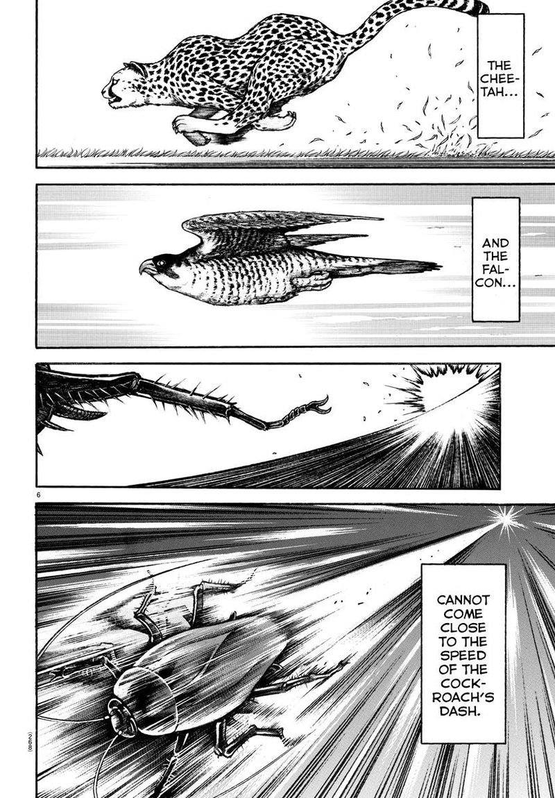 Baki Dou 2018 88 6