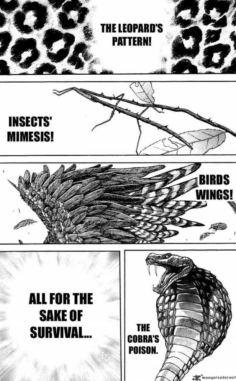 Baki Son Of Ogre 120 15