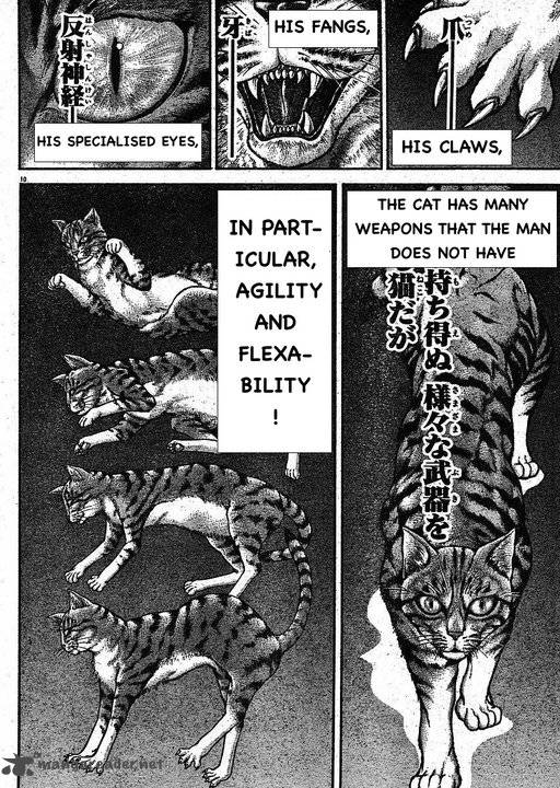 Baki Son Of Ogre 145 10