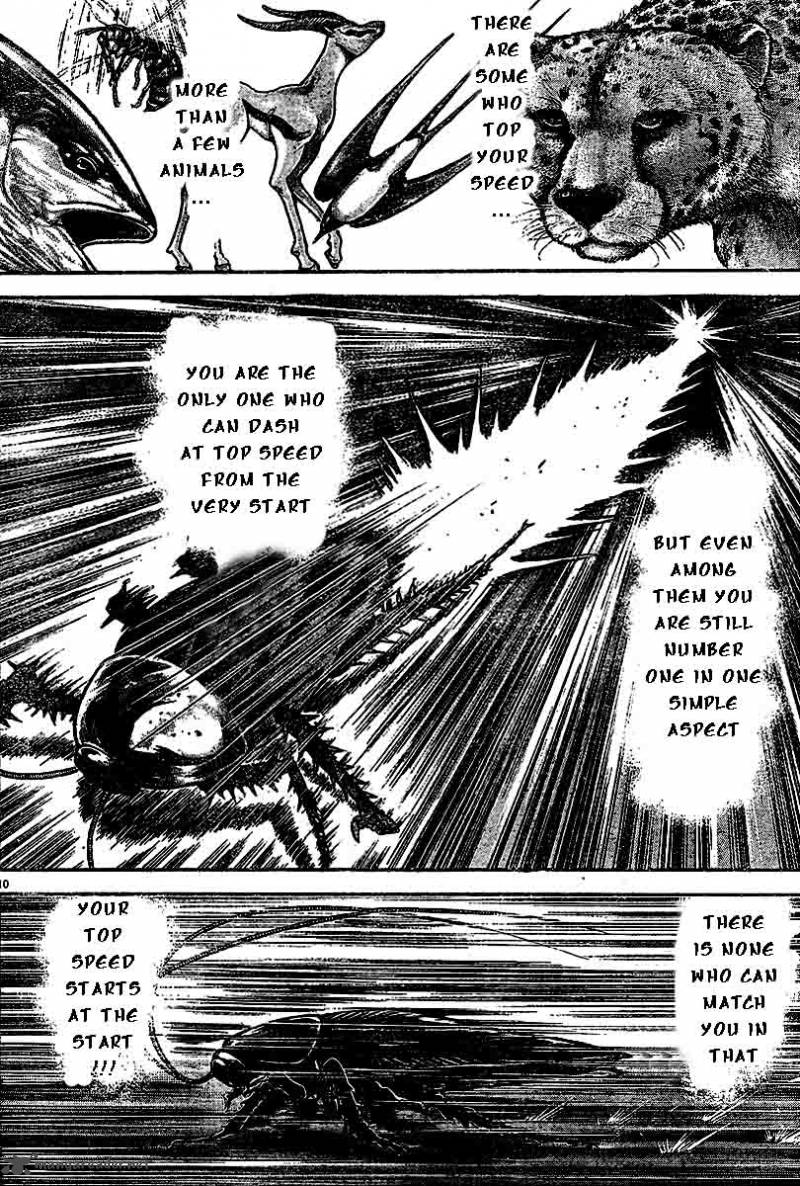 Baki Son Of Ogre 210 10
