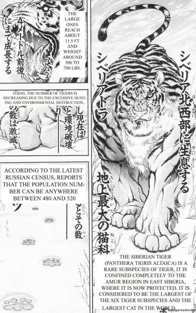 Baki Son Of Ogre 92 5