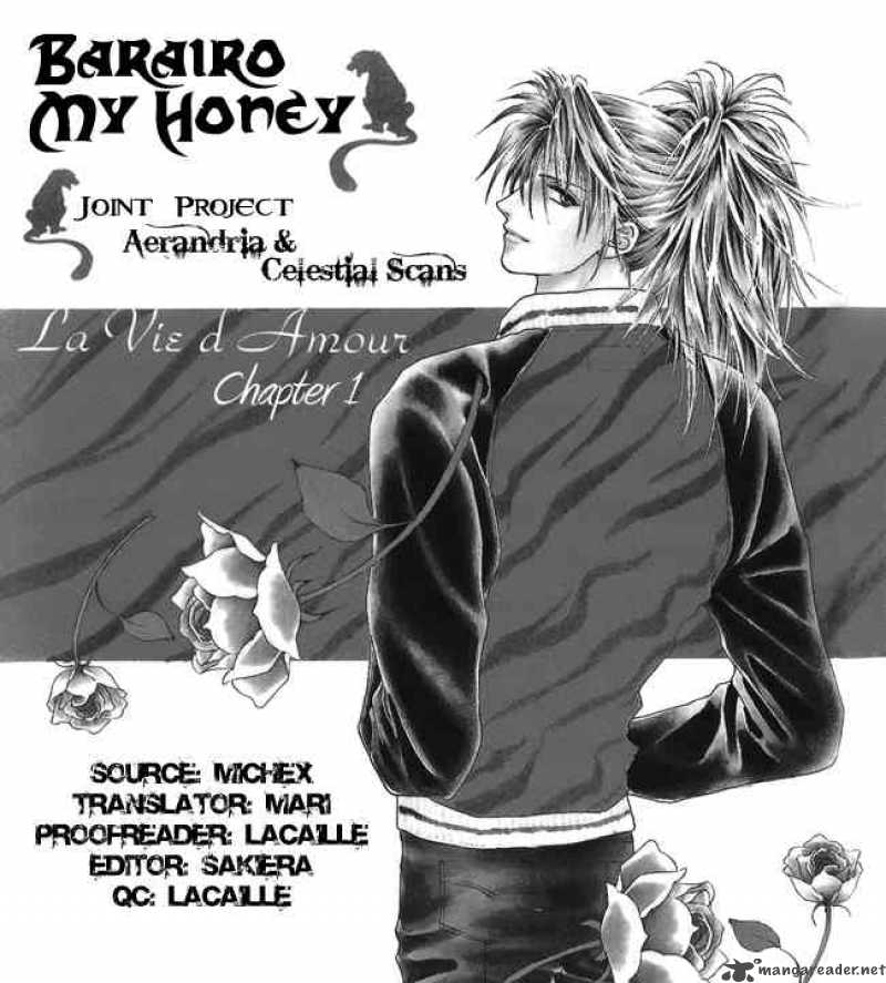 Barairo My Honey 1 55