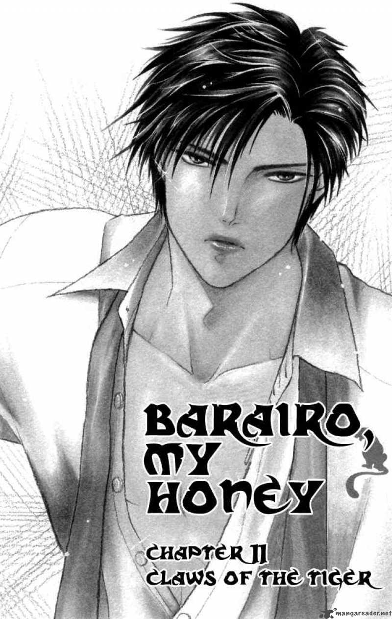 Barairo My Honey 11 5