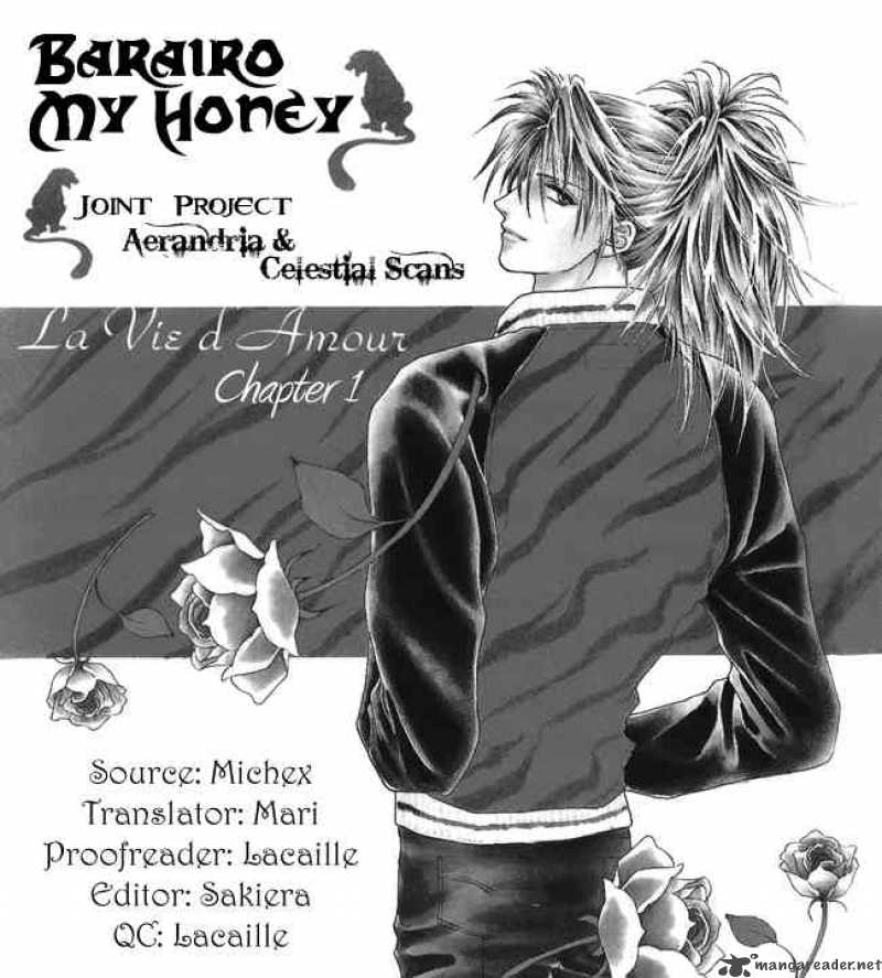 Barairo My Honey 2 34