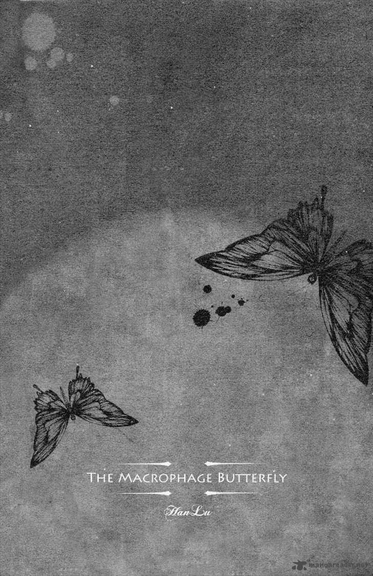 Baroque Chrysalis 2 36