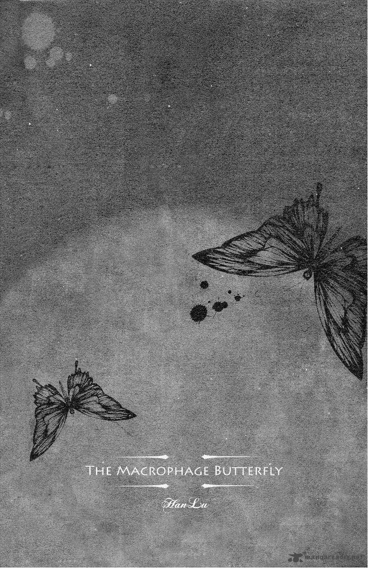 Baroque Chrysalis 2 5