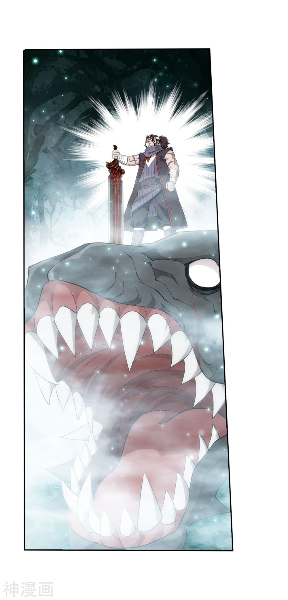Battle Through The Heavens 294 13