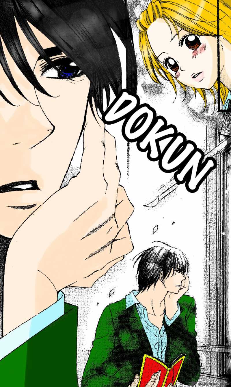 Beast Harem 1 31