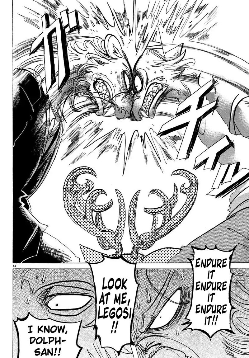 Beastars 147 15