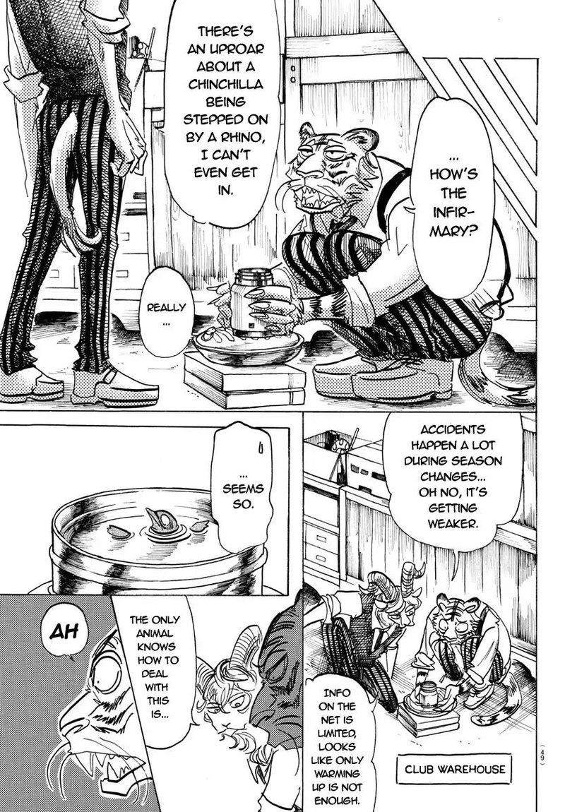 Beastars 155 11