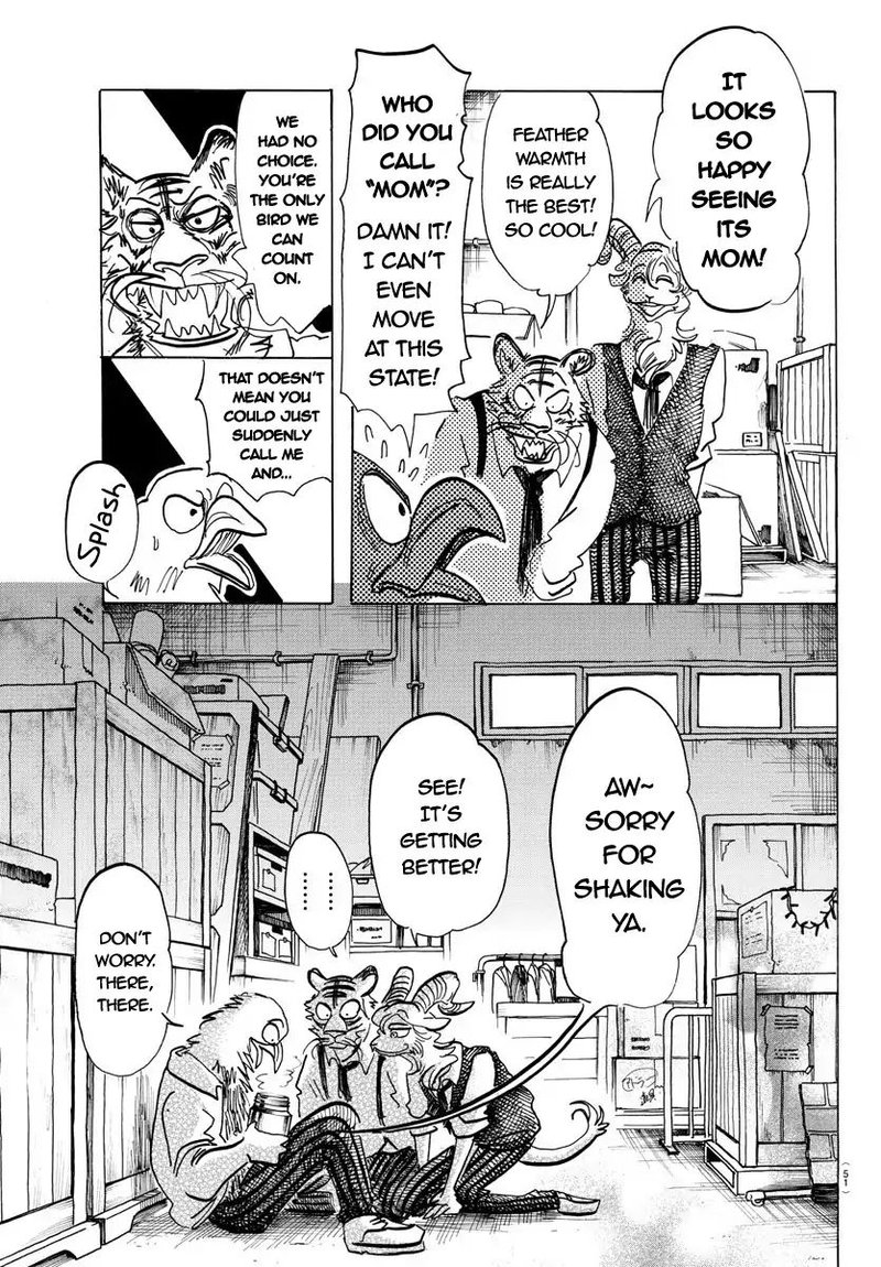 Beastars 155 13