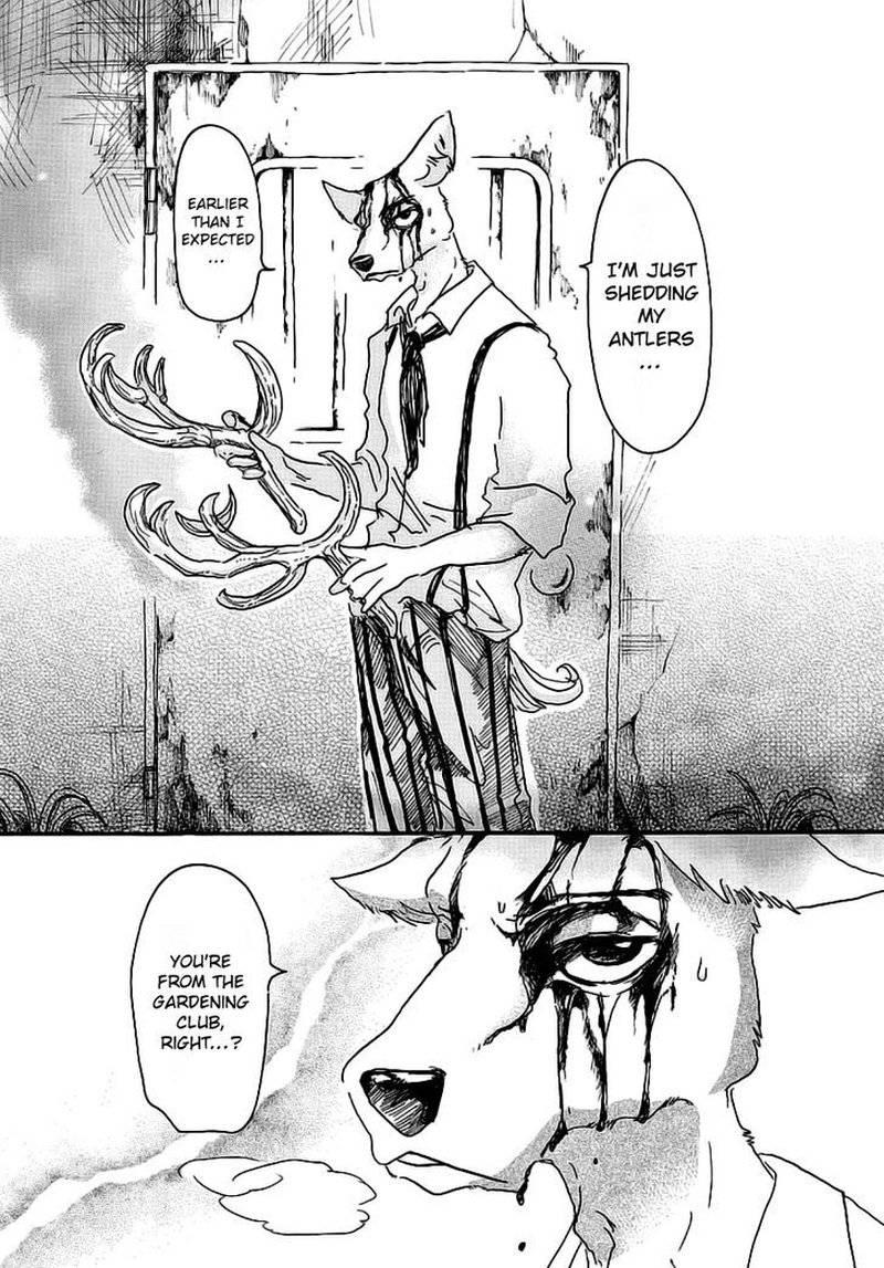 Beastars 26 8