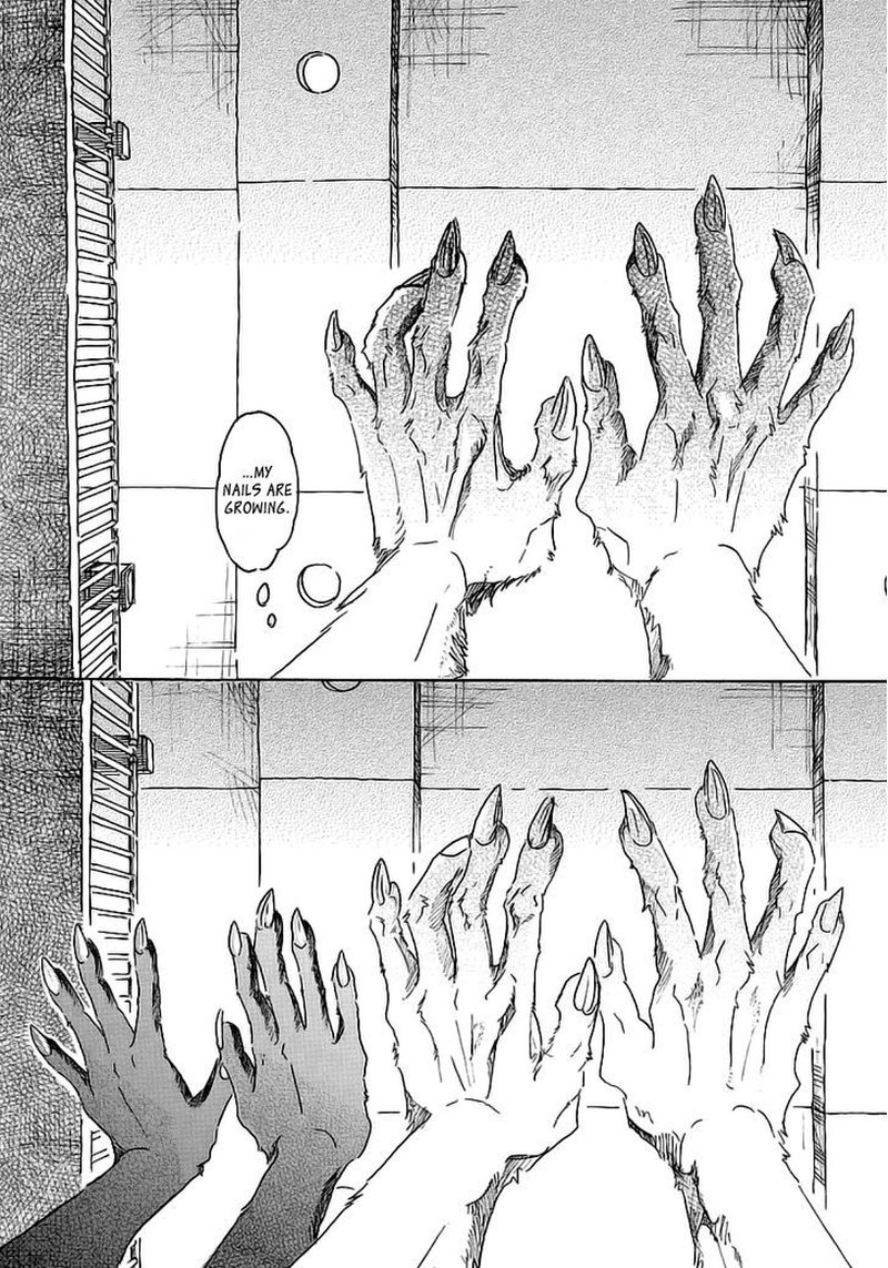 Beastars 27 11
