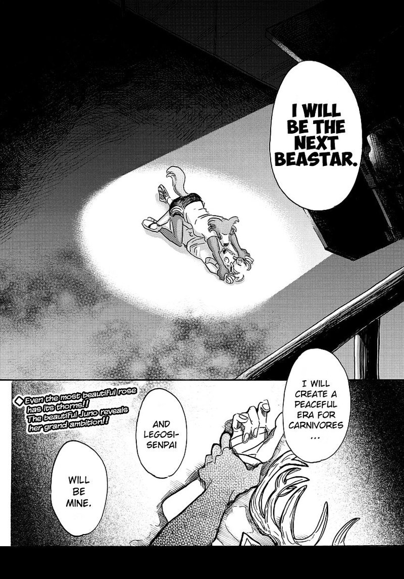 Beastars 31 21