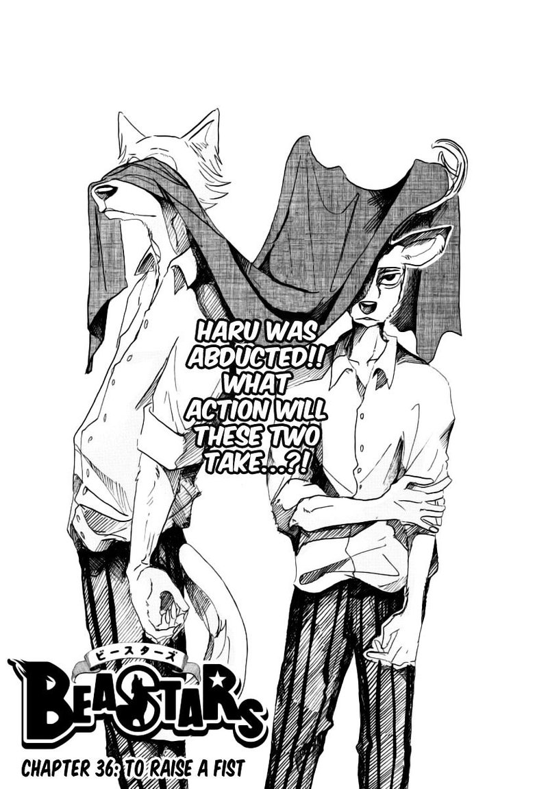 Beastars 36 1