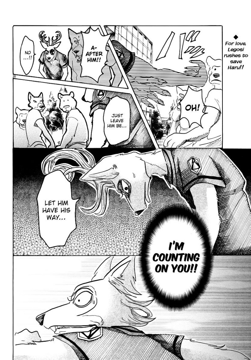 Beastars 36 19