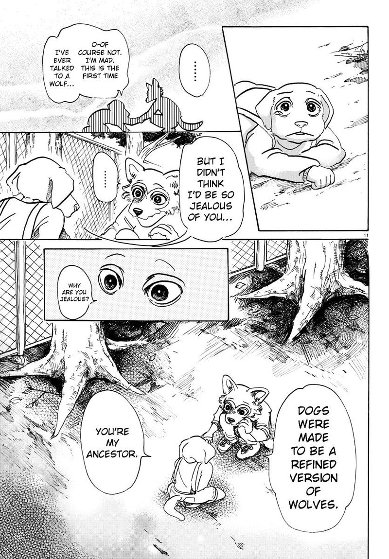 Beastars 49 11