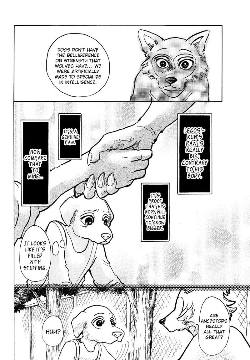 Beastars 49 12