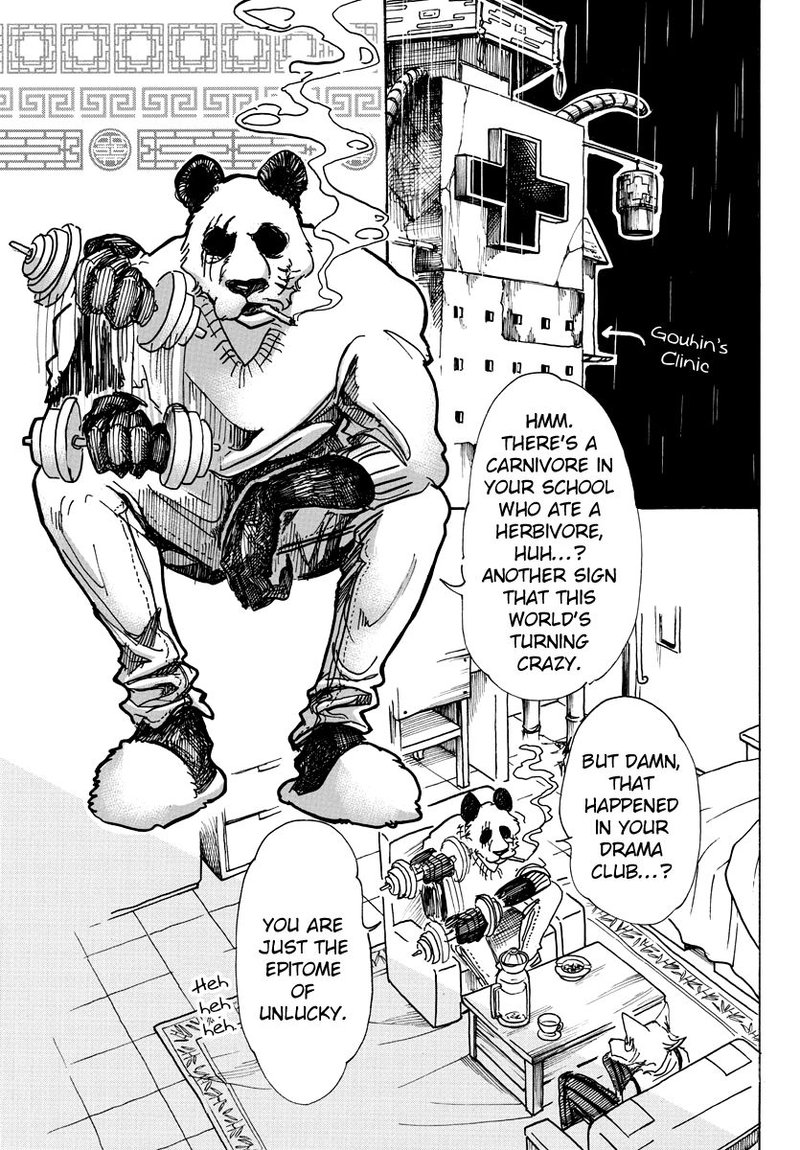 Beastars 62 4