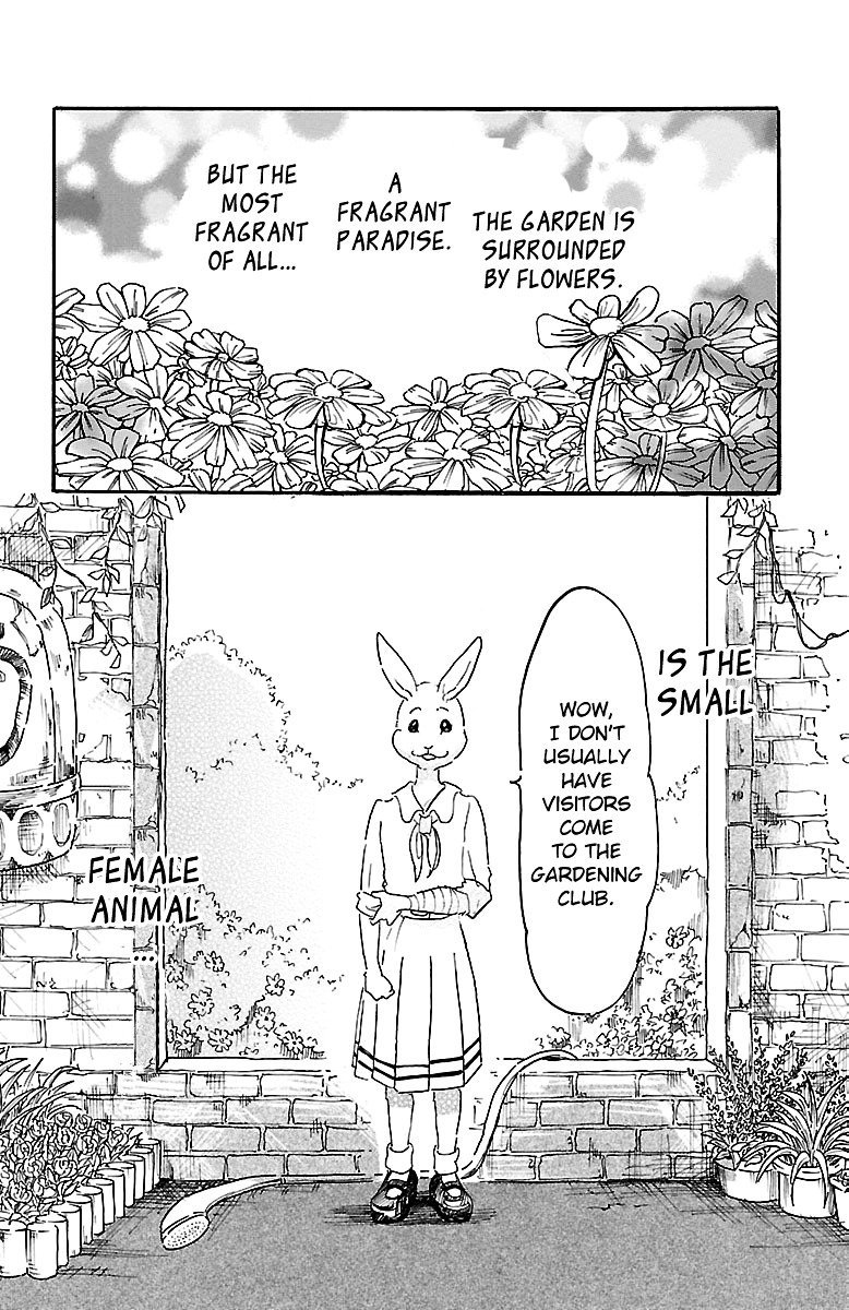 Beastars 8 4