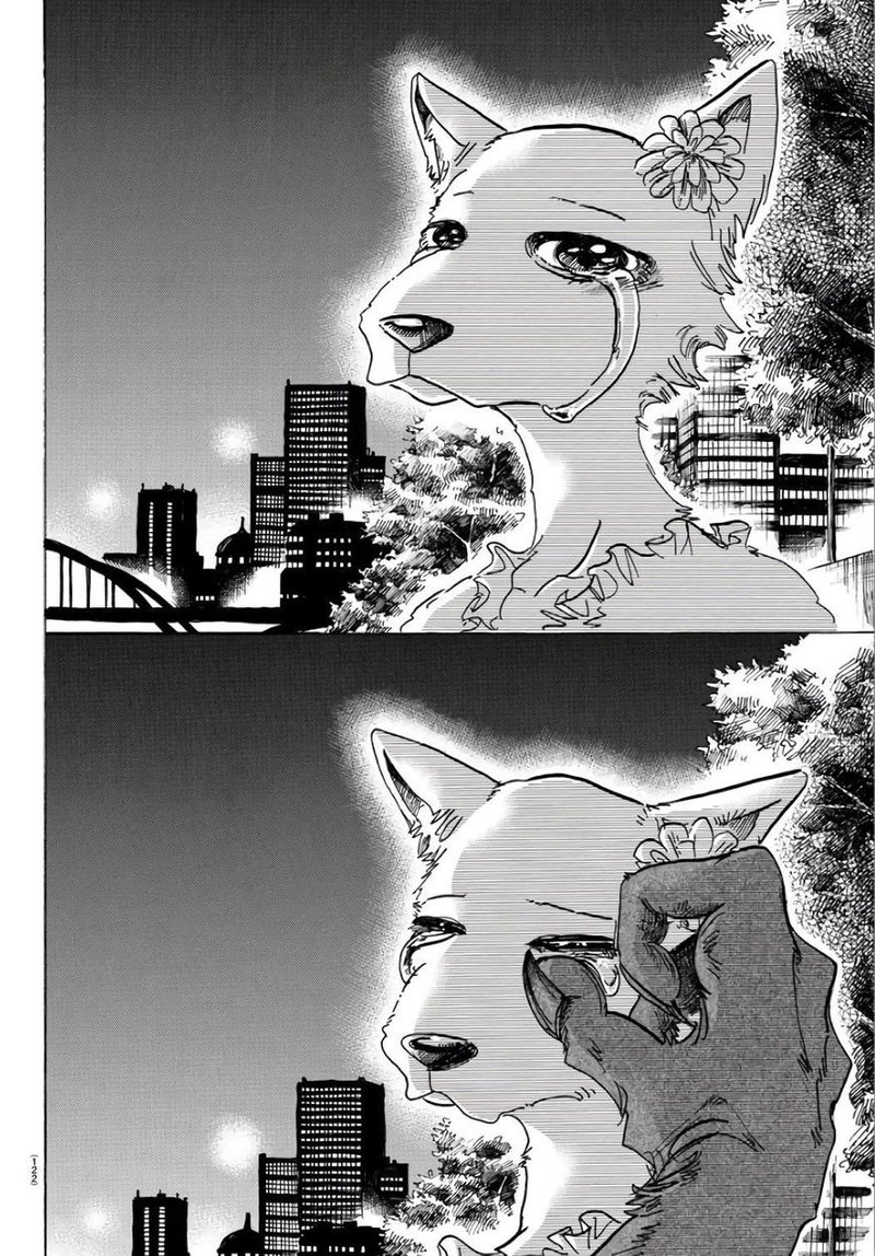 Beastars 86 17