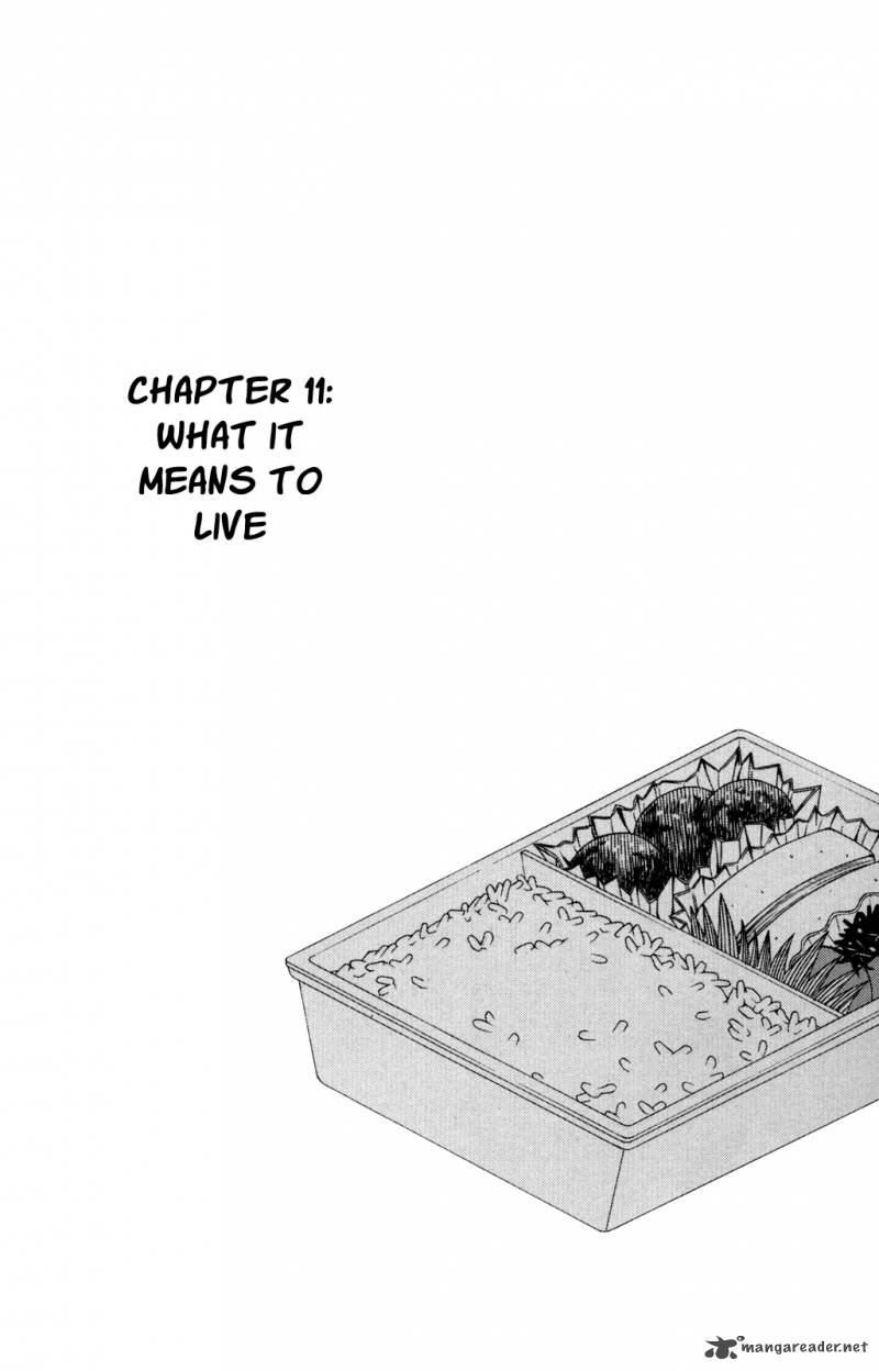 Because The Sky Is Gray 11 2