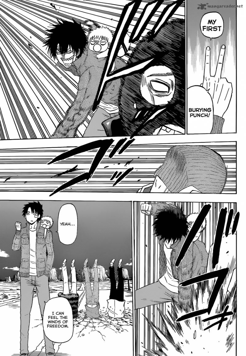 Beelzebub 225 17