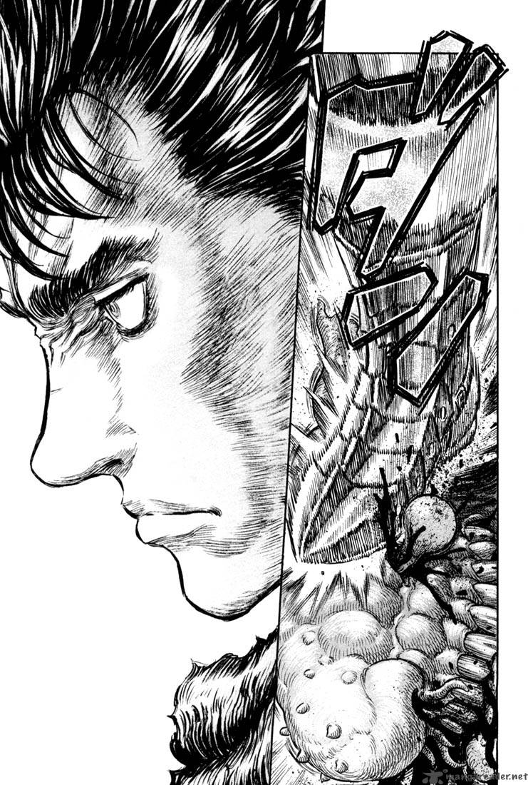 Berserk 25 27
