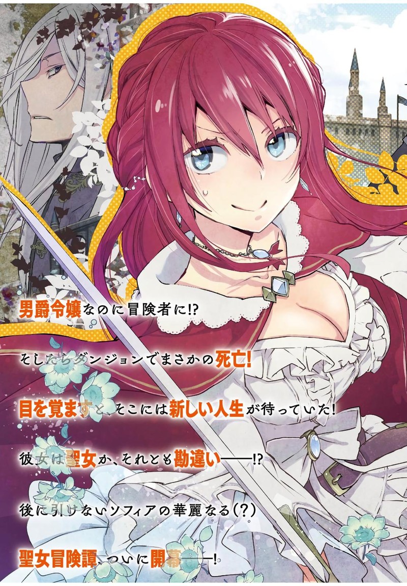 Binbou Reijou No Kanchigai Seijo Den Okane No Tame Ni Doryoku Shitetara Oozoku Harem Ga Dekite Imashita 1 3